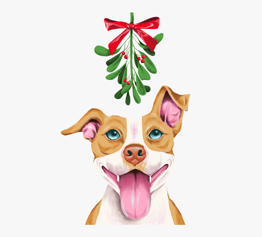 Mistletoe, HD Png Download