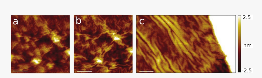 Rippling Of Graphene Induced By Stm Tip - Flame, HD Png Download