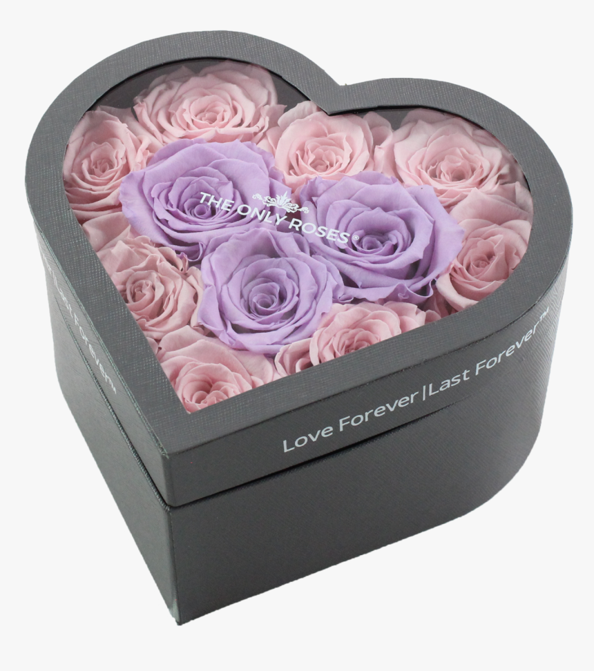 Garden Roses, HD Png Download