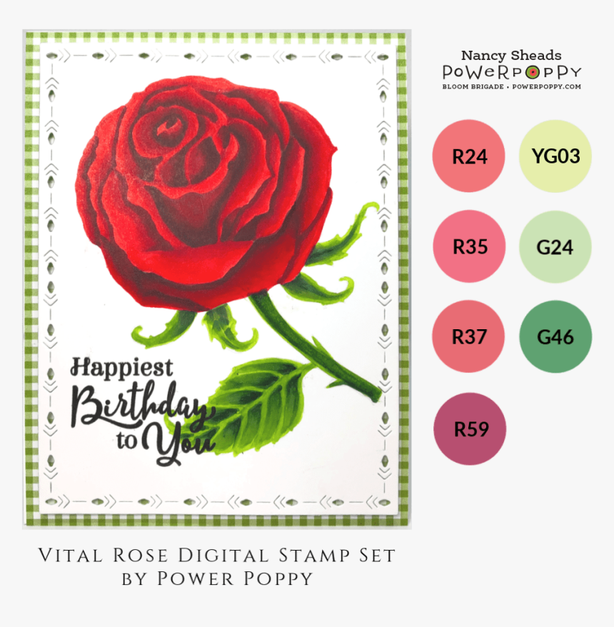 Hybrid Tea Rose, HD Png Download