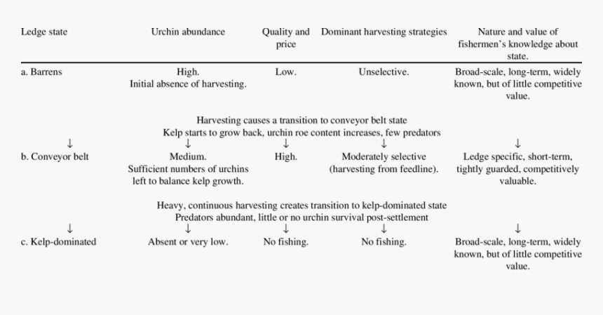 Screenshot, HD Png Download