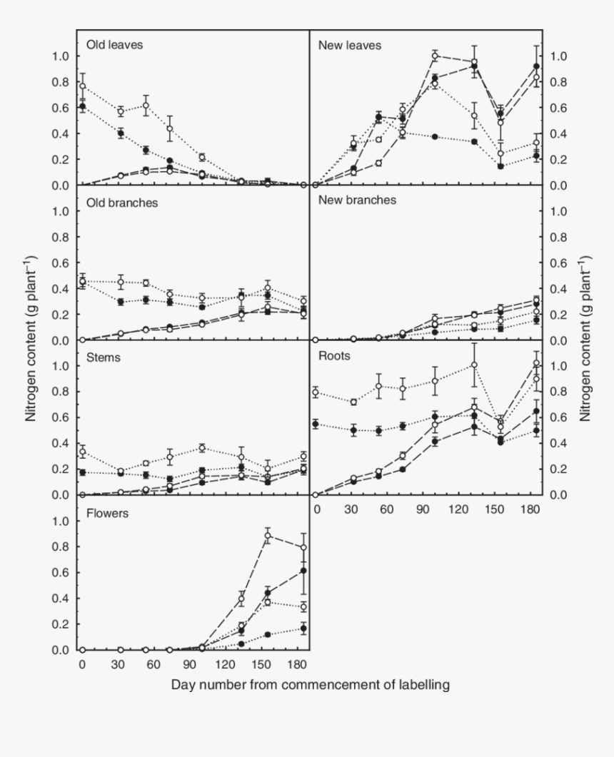Diagram, HD Png Download