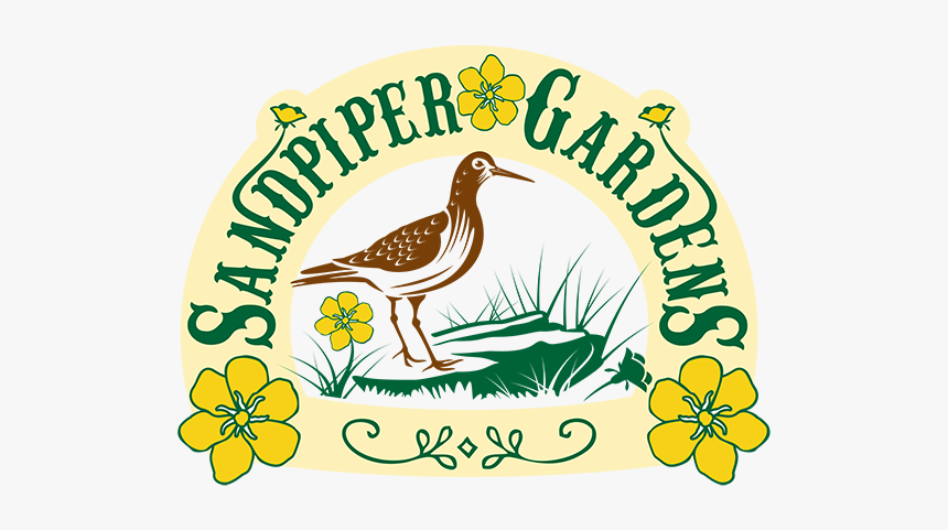 Turkey, HD Png Download