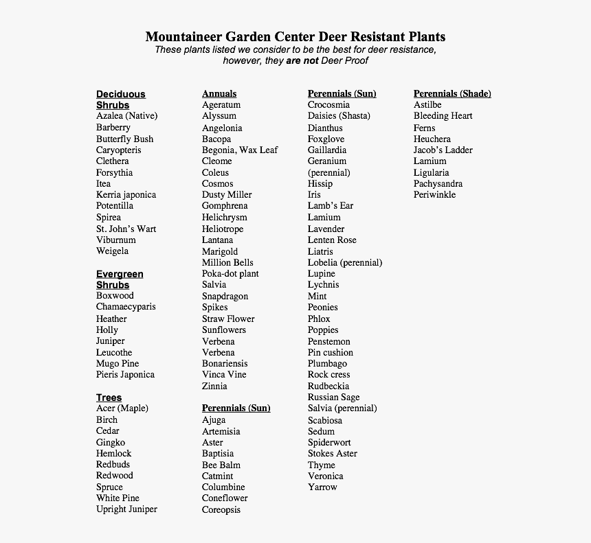 Mountaineer Garden Center Deer Resistant Plants - Deer Proof Deer Resistant Annuals, HD Png Download