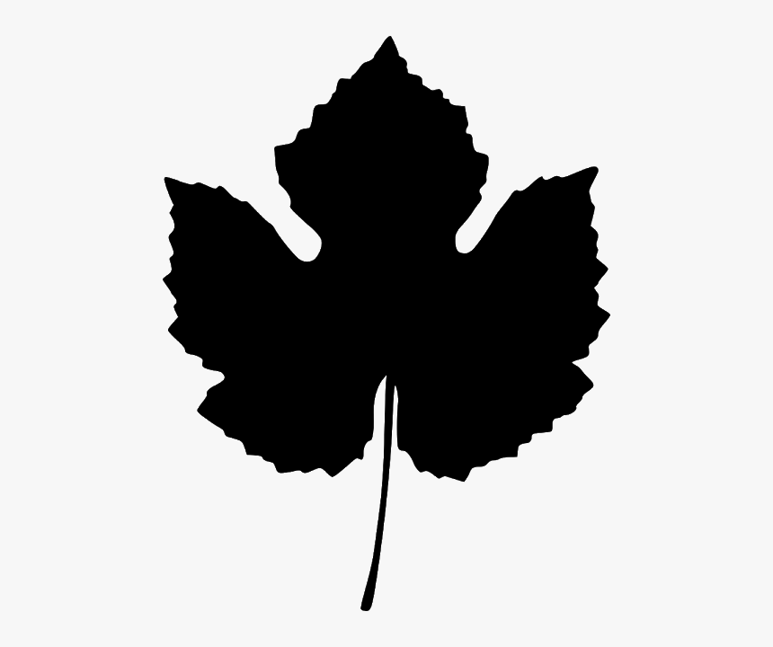 Grape Leaf, HD Png Download