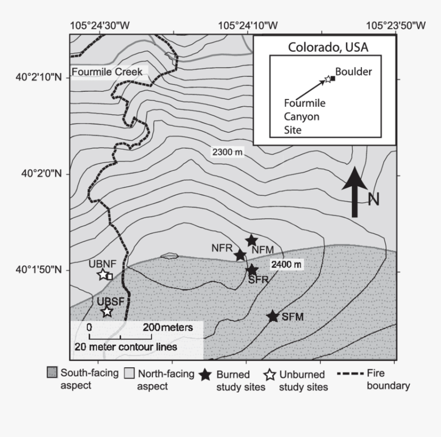 Diagram, HD Png Download