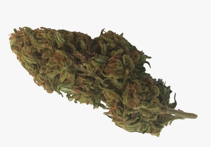 Hemp Buds, HD Png Download