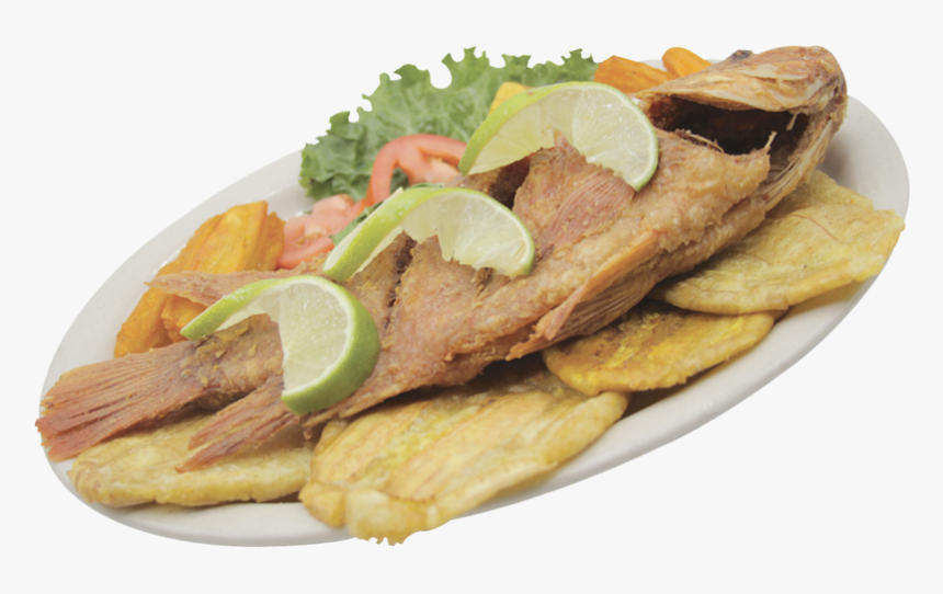 Fish, HD Png Download