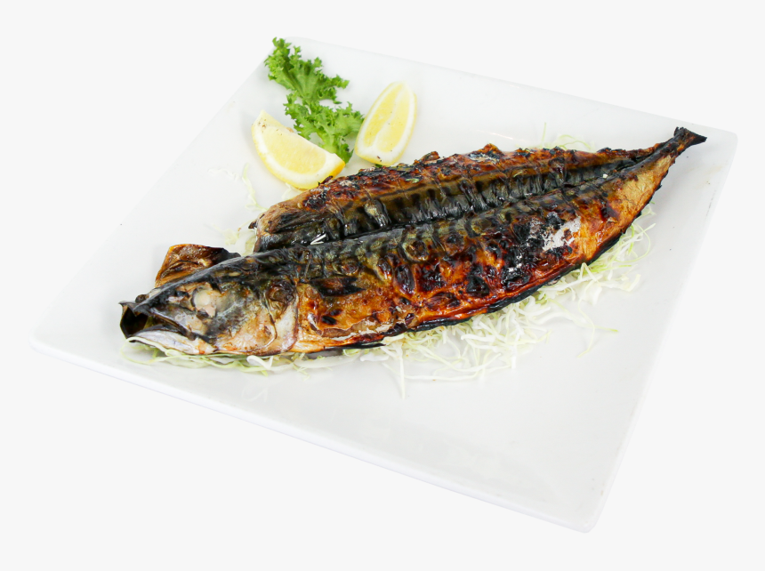 Pacific Saury, HD Png Download