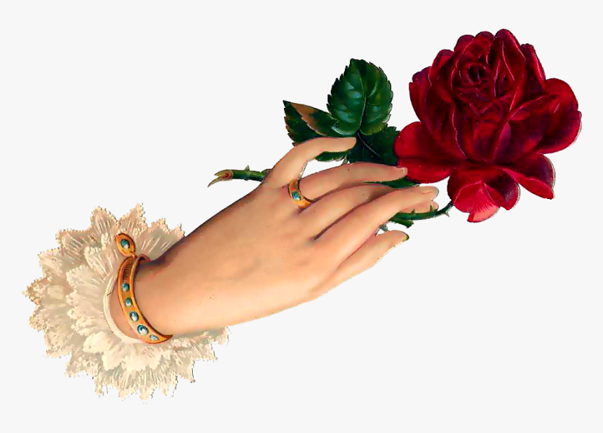 Good Night Hand Rose, HD Png Download