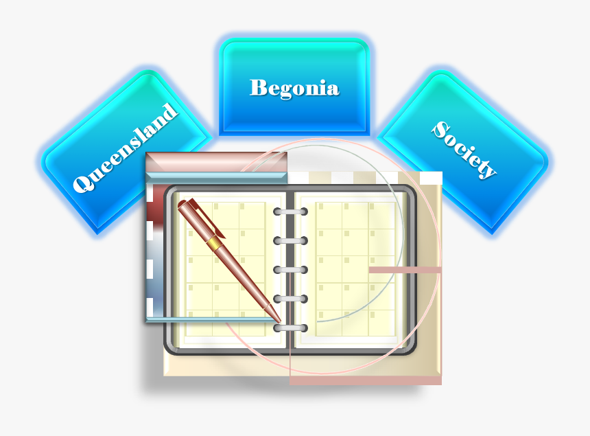 Queensland Begonia Society Schedules - Agenda, HD Png Download