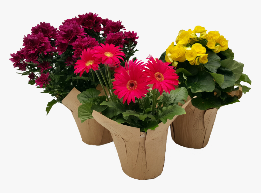 Bouquet, HD Png Download