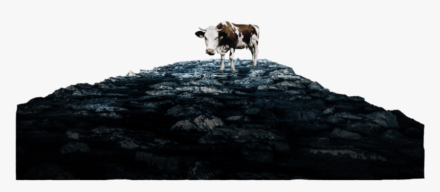Heavens Cow Rocks Only - Dairy Cow, HD Png Download
