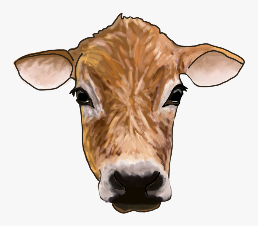 Cow - Dairy Cow, HD Png Download