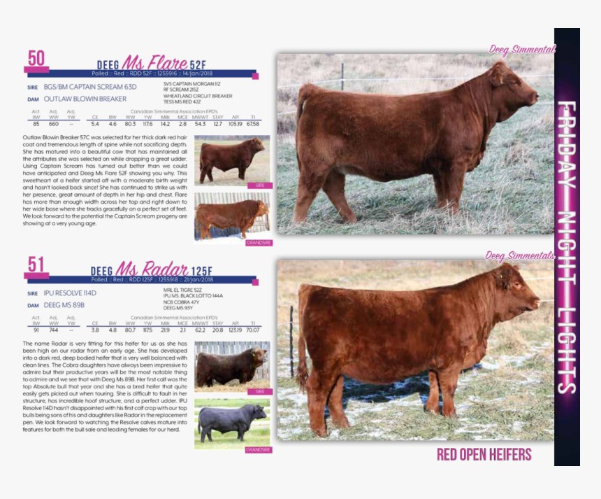 $10,000westman Farms &lewis Farms - Dairy Cow, HD Png Download