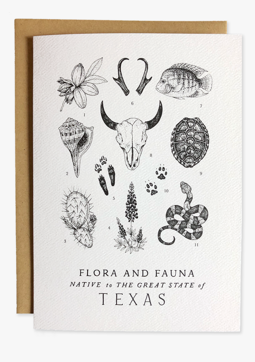 Sketch, HD Png Download