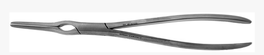 Asch Septum Forcep, Straight, - Scissors, HD Png Download