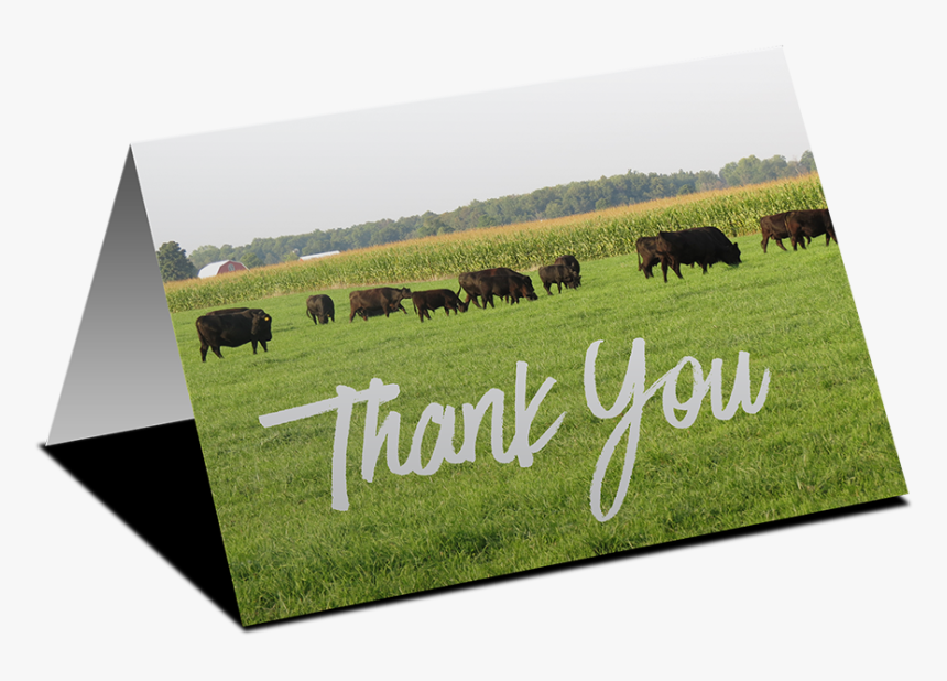 Thank You Dairy, HD Png Download