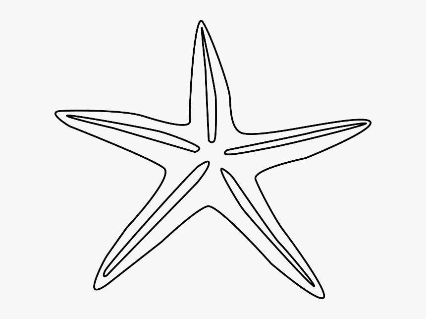 Kleurplaat Zeester, HD Png Download