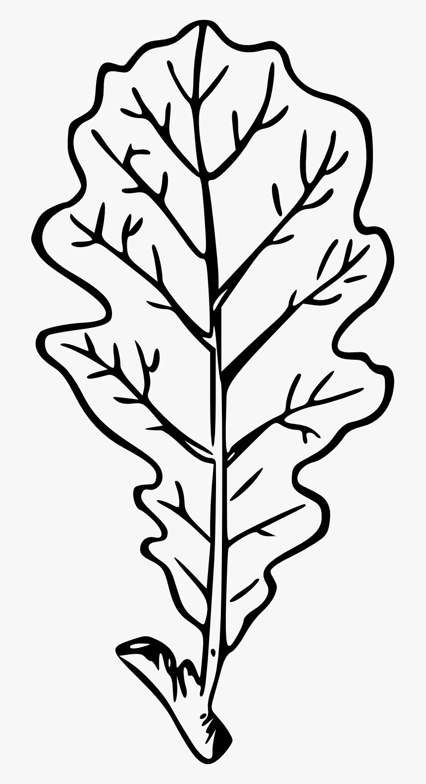 Drawn Leaves Transparent - Drawing, HD Png Download