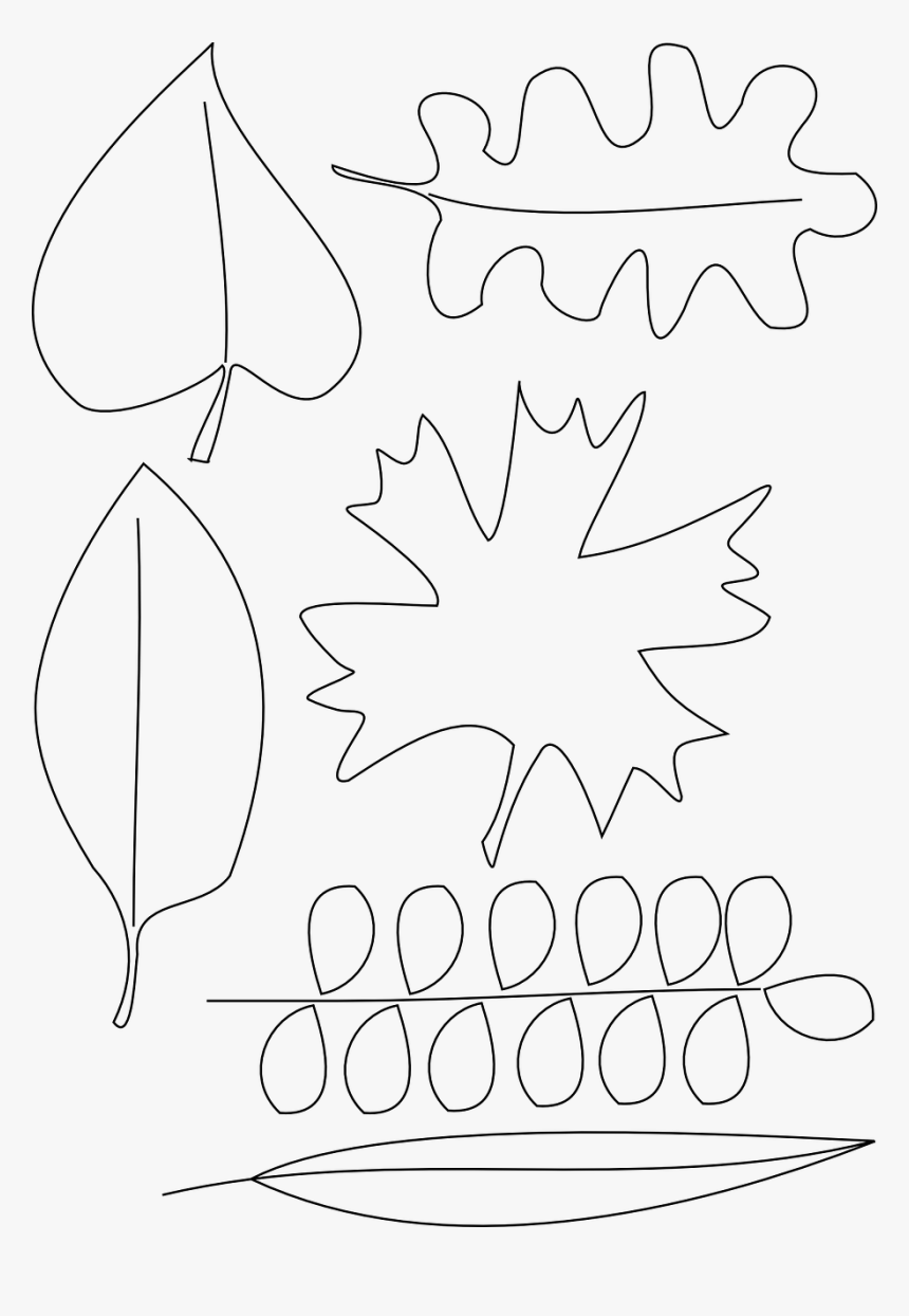 Desenho De Folhas De Árvores, HD Png Download