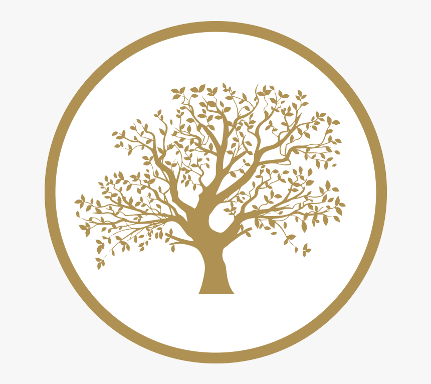 Tree Outline With Roots, HD Png Download