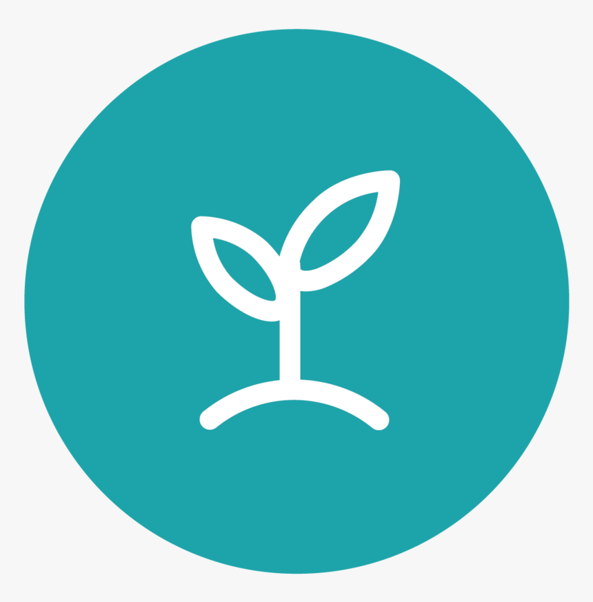 Start To Grow - Circle, HD Png Download