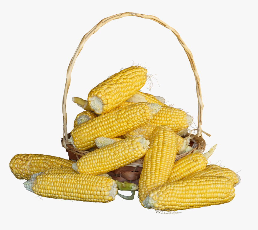 Maize, HD Png Download