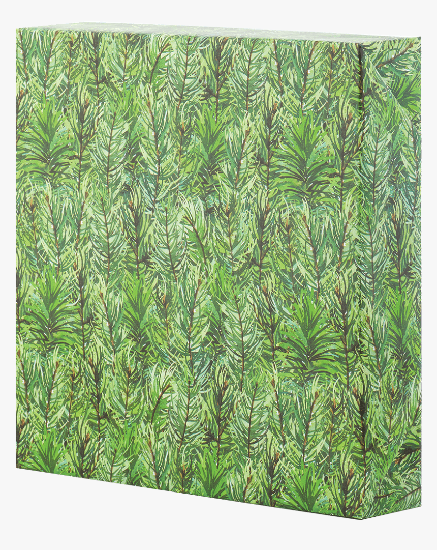 Hornwort, HD Png Download