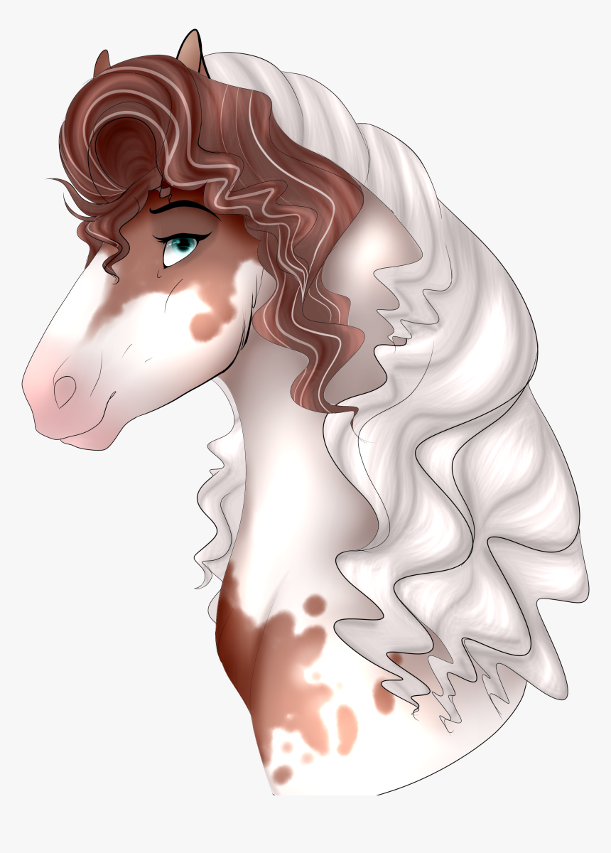 Featured image of post Cartoon Horse Images For Drawing