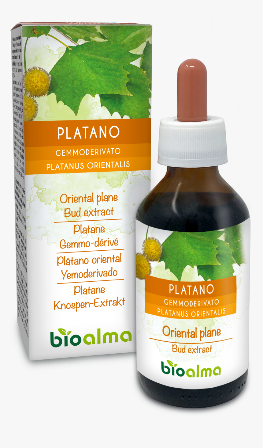 Gemmoderivato Rosa Canina, HD Png Download