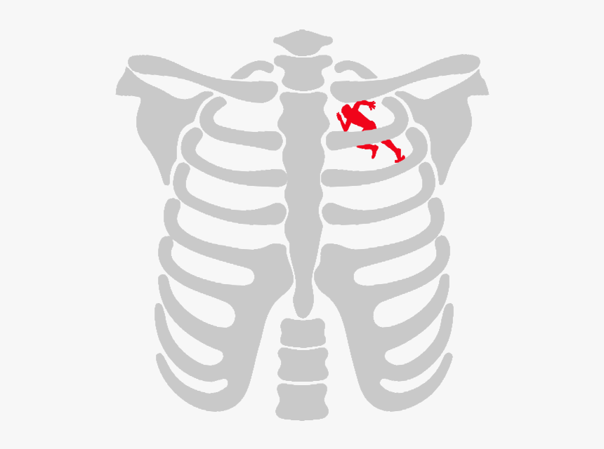 Pregnant Skeleton Vector, HD Png Download