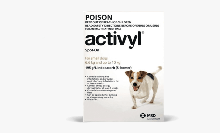 Companion Dog, HD Png Download