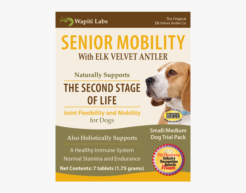 Senior Mobility For Dogs - Companion Dog, HD Png Download