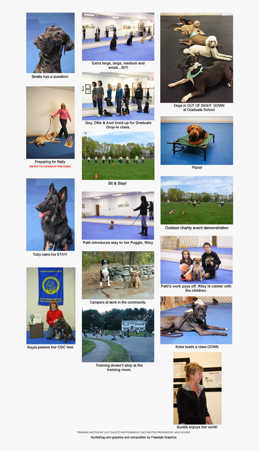 Police Dog , Png Download - Police Dog, Transparent Png