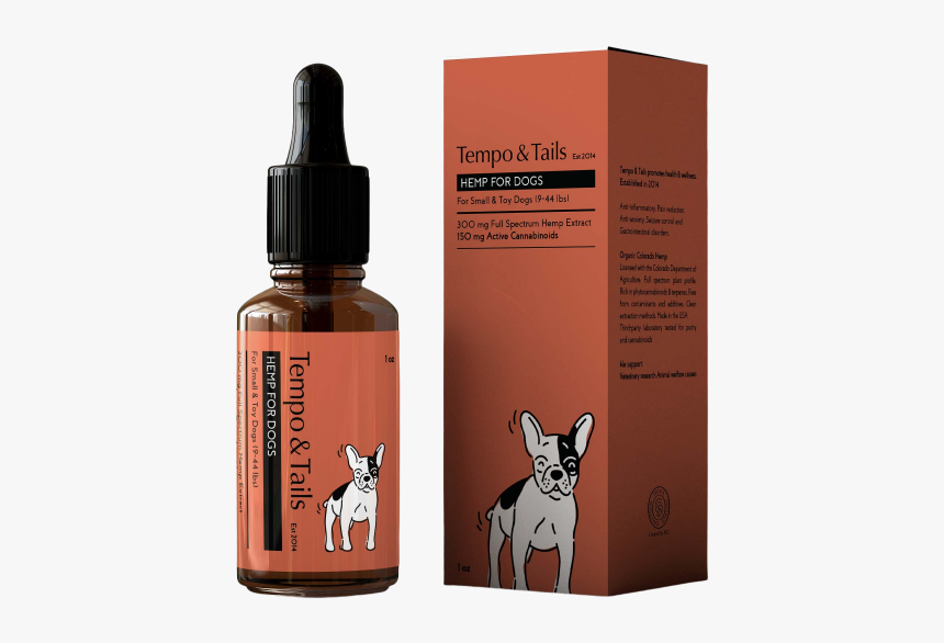 Boston Terrier, HD Png Download