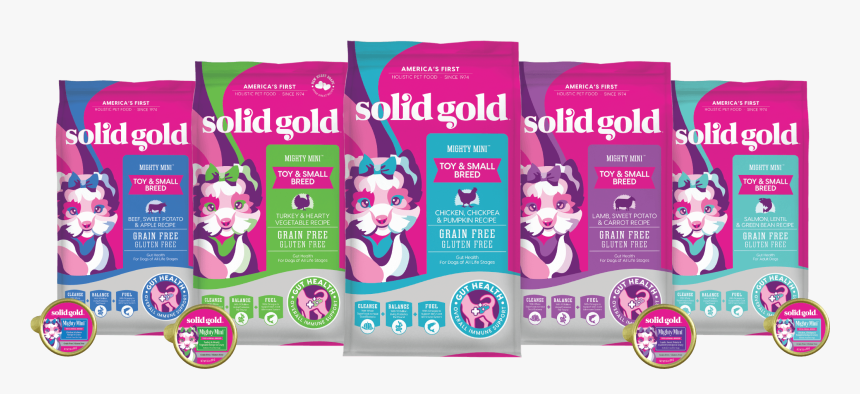 Kitten, HD Png Download