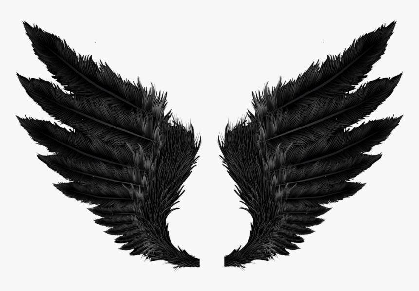 #feather #feathers #featherwings #blackwongs #wings - Wings Png, Transparent Png