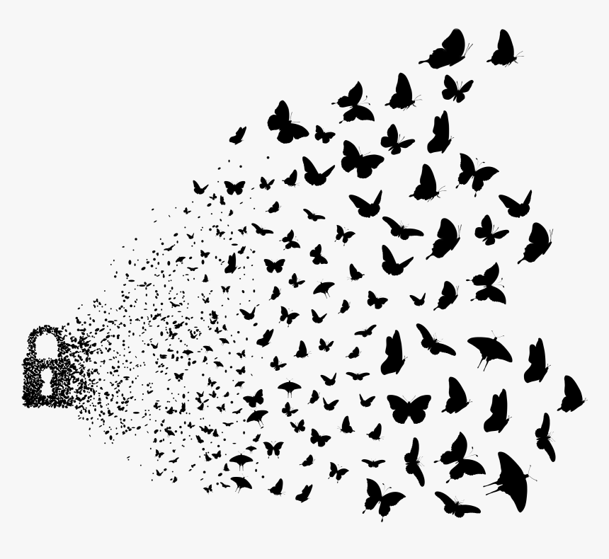 #art #birds #butterfly #edited #png #photography #freetoedit - Birds Png For Picsart, Transparent Png