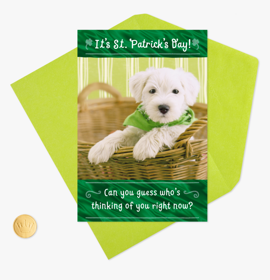 Thinking Of You Puppy Dog St - Companion Dog, HD Png Download