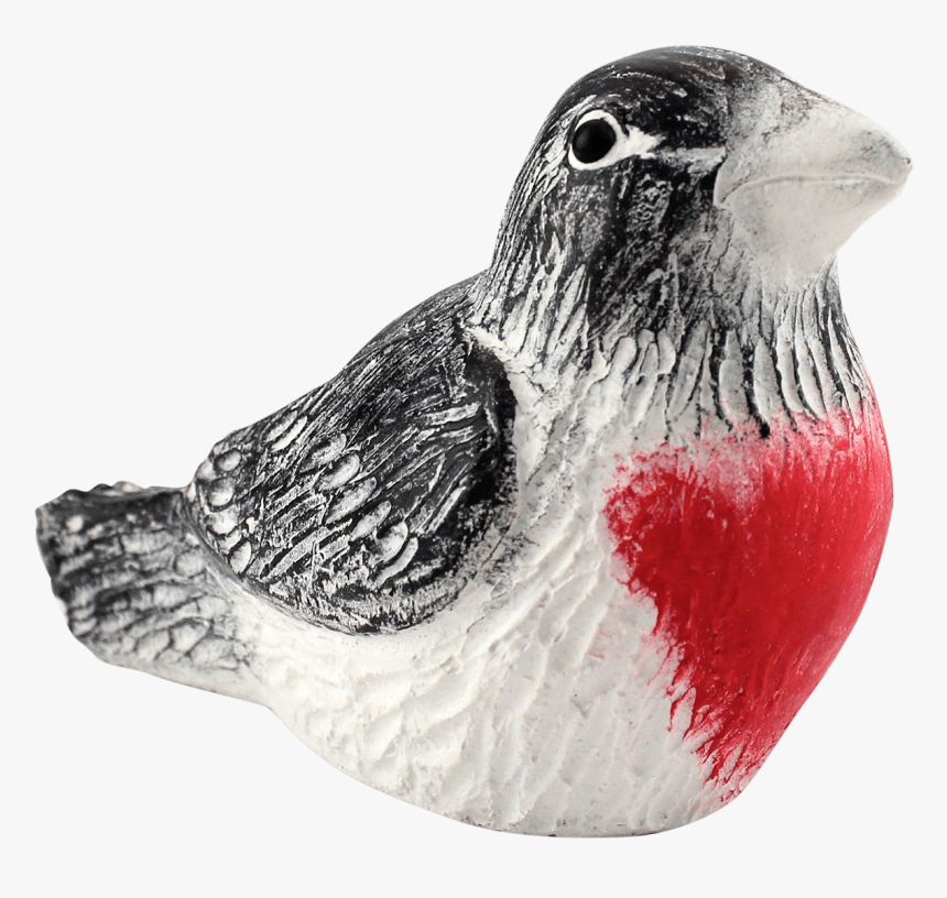 Rose Breasted Grosbeak, HD Png Download