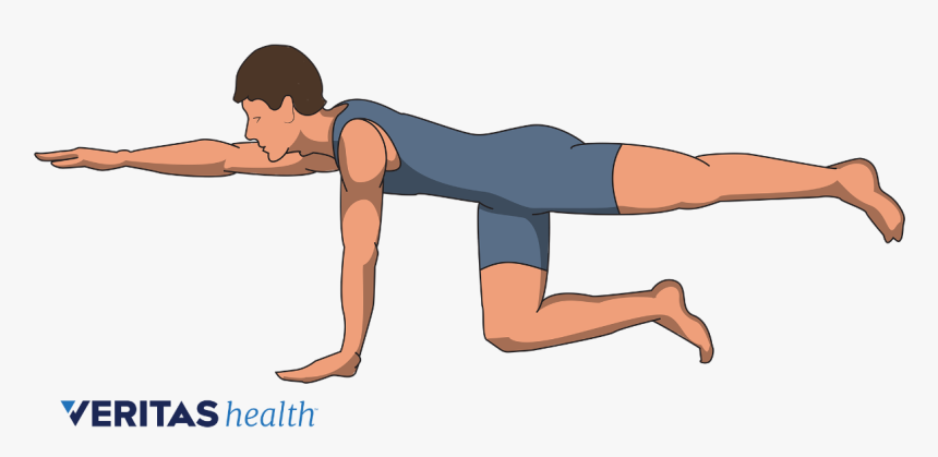 Exercises After Spinal Fusion, HD Png Download