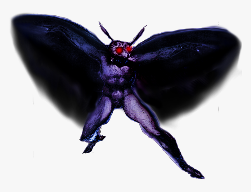 Butterfly, HD Png Download