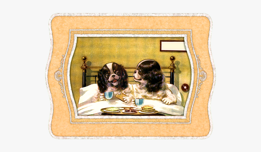 Animals In Bed, HD Png Download