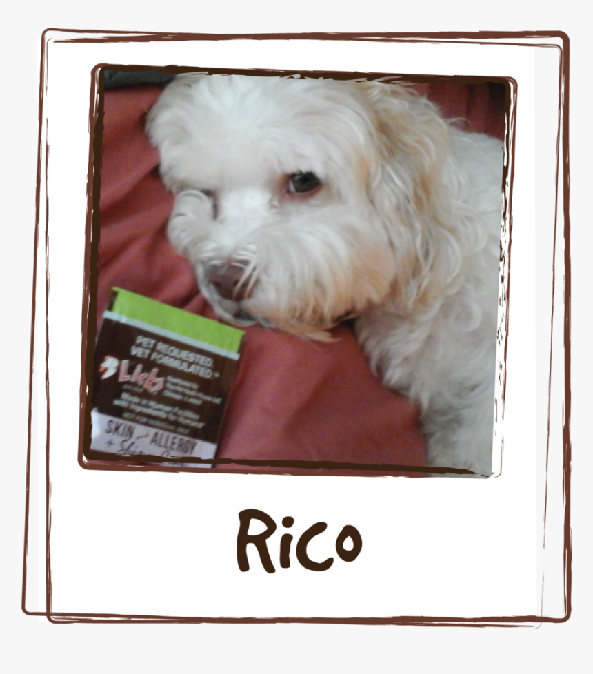 “rico Has Skin Allergy Problem, He At Times Constantly, HD Png Download