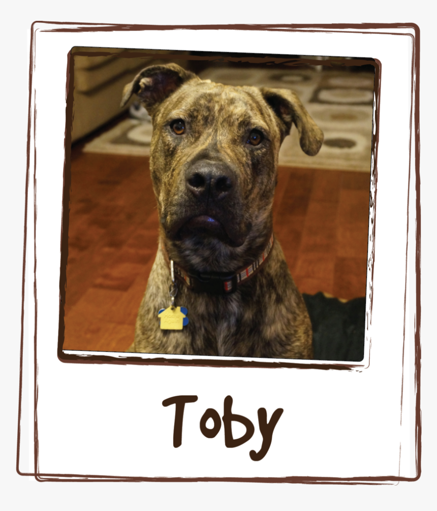 “this Is The Best Product, HD Png Download