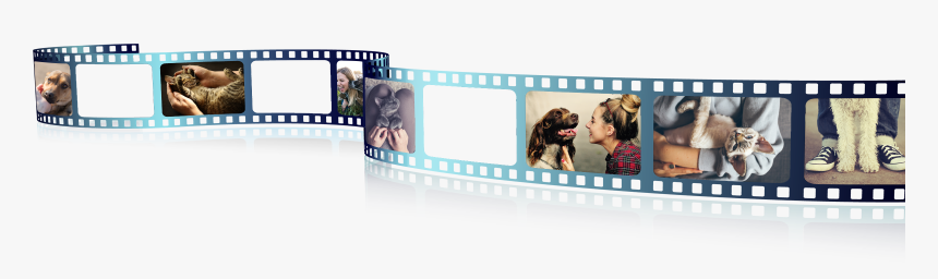 Great Dane, HD Png Download