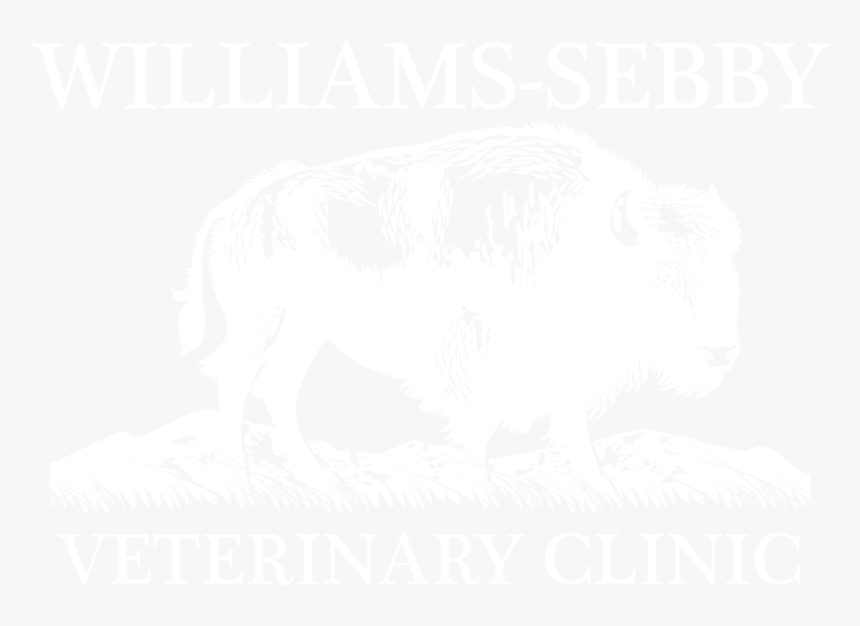 Gravity Falls, HD Png Download