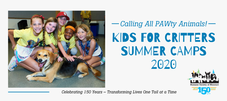 Companion Dog, HD Png Download