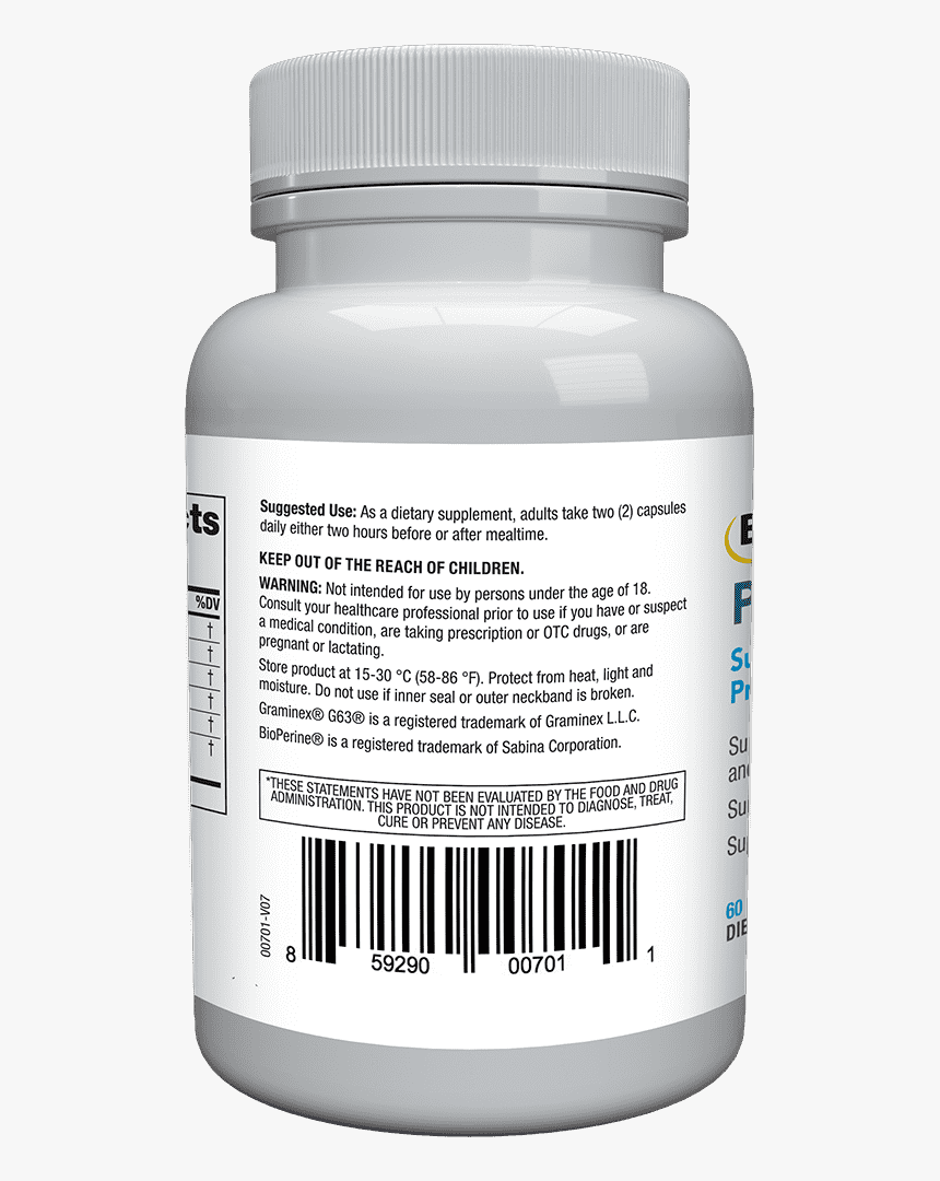 Animal, HD Png Download